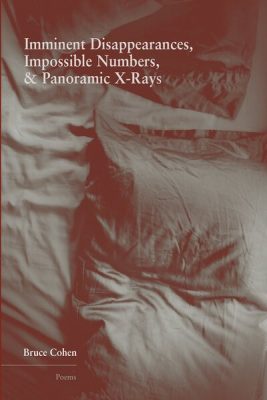 Imminent Disappearances, Impossible Numbers & Panoramic X-Rays book cover