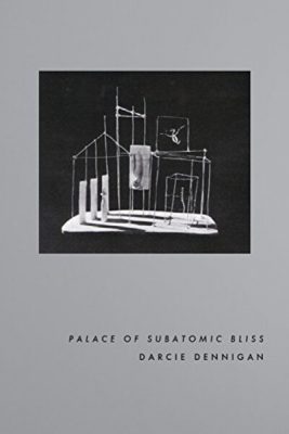 Palace of Subatomic Bliss book cover